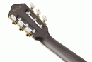 Ibanez TOD10N Tim Henson Signature Classical Electric Guitar