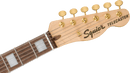 40th Anniversary Telecaster, Gold Edition, Sherwood Green Metallic