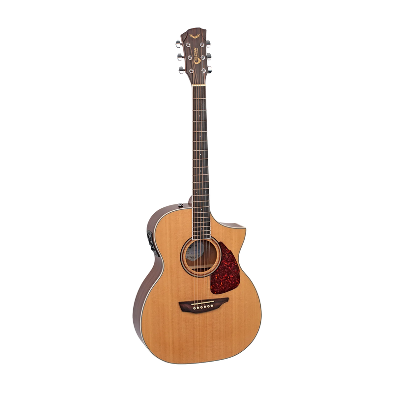 SGW S350OMNS Acoustic Guitar - Natural Satin