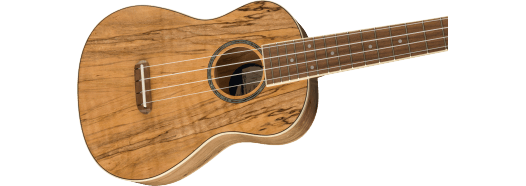 Zuma Exotic Concert Ukulele, Walnut Fingerboard, Spalted Maple