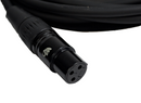 Mammoth Balanced XLR to XLR Microphone Cable MAM Lines 30ft