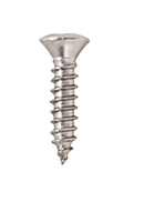 GP957C Scratchplate Screw - Chrome