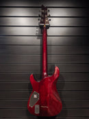 2010 Schecter Hellraiser Diamond Series - Black Cherry