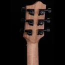 Pratley Classic Series Dreadnought Cutaway Model All Solid Blackwood