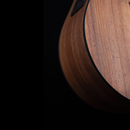 Pratley Classic Series Dreadnought Cutaway Model All Solid Blackwood