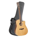 Tanglewood Winterleaf Dreadnought C/E Guitar Pack with DCM Premium Case (TW10-P)