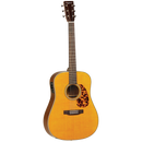 Tanglewood 40DANE Sundance Historic Dreadnought with Case