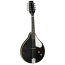 Tanglewood TWMTBKPE Union Mandolin Black Gloss with Pickup