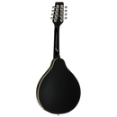 Tanglewood TWMTBKPE Union Mandolin Black Gloss with Pickup