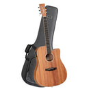 Tanglewood Union Dreadnought C/E Guitar Pack with DCM Premium Case (TWUDCE-P)