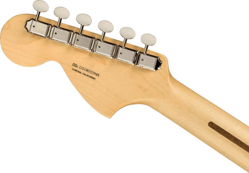 American Performer Stratocaster, Rosewood Fingerboard, Honey Burst w/ Gig Bag