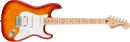 Affinity Series Stratocaster FMT HSS, Maple Fingerboard, White Pickguard, Sienna Sunburst