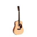 Sigma SE Series 12 String.