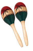 Oval Wooden Maracas with Tropical Design.