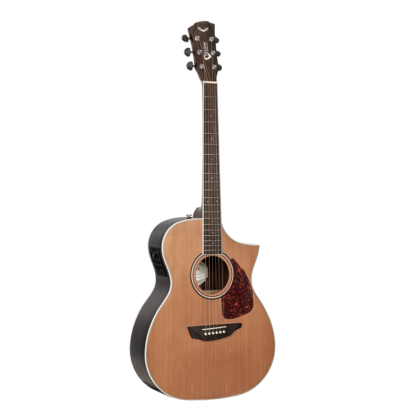 SGW S650OMNS Orchestra Electric/Acoustic Guitar