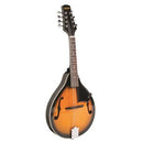 Bryden Mandolin.