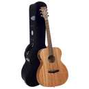 Tanglewood TW2E Winterleaf Orchestra with Case.