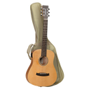 Tanglewood TW2TSE Winterleaf Traveller Spruce w/ PickUp & Bag.