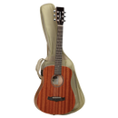Tanglewood TW2TXE Winterleaf Traveller Mahogany w/ PickUp & Bag.